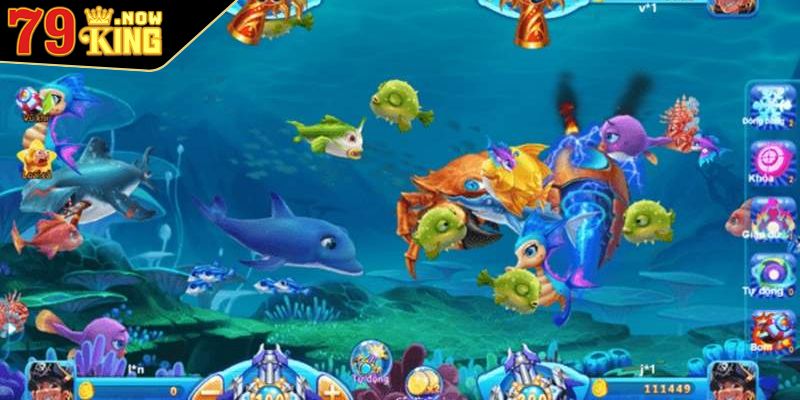 Ngắm bắn khi cá xuất hiện